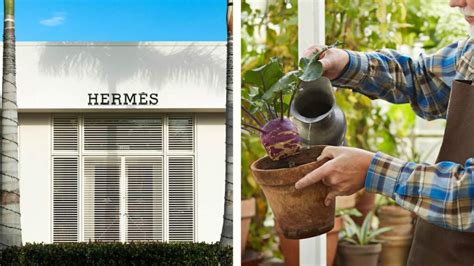 hermes herencia jardinero|el heredero de hermes.